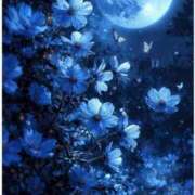 ヒメ日記 2025/11/06 00:53 投稿 森下 莉華 人妻の雫 岡山店