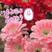 ヒメ日記 2025/11/14 09:54 投稿 森下 莉華 人妻の雫 岡山店