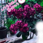 ヒメ日記 2025/12/11 12:04 投稿 森下 莉華 人妻の雫 岡山店