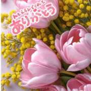 森下 莉華 ありがとう❤️ 人妻の雫 岡山店