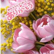 森下 莉華 ありがとう❤️ 人妻の雫 岡山店