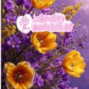 ヒメ日記 2025/12/16 08:14 投稿 森下 莉華 人妻の雫 岡山店