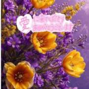 ヒメ日記 2025/12/16 08:54 投稿 森下 莉華 人妻の雫 岡山店