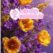 ヒメ日記 2025/12/16 09:14 投稿 森下 莉華 人妻の雫 岡山店