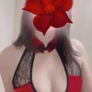 ヒメ日記 2026/01/01 08:24 投稿 森下 莉華 人妻の雫 岡山店