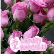 ヒメ日記 2026/01/09 17:24 投稿 森下 莉華 人妻の雫 岡山店