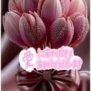 ヒメ日記 2026/01/29 21:14 投稿 森下 莉華 人妻の雫 岡山店