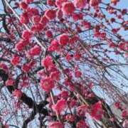 ヒメ日記 2026/03/22 06:34 投稿 森下 莉華 人妻の雫 岡山店