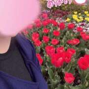 ヒメ日記 2026/03/31 10:44 投稿 森下 莉華 人妻の雫 岡山店