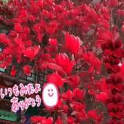 ヒメ日記 2026/04/13 09:10 投稿 森下 莉華 人妻の雫 岡山店