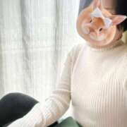 ヒメ日記 2024/12/29 11:44 投稿 みさ 人妻の雫 岡山店