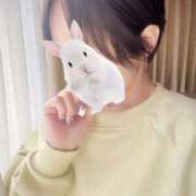 ヒメ日記 2024/12/30 21:54 投稿 みさ 人妻の雫 岡山店