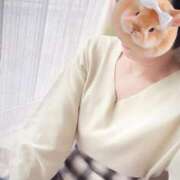 ヒメ日記 2025/01/17 23:24 投稿 みさ 人妻の雫 岡山店