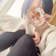 ヒメ日記 2025/01/23 23:14 投稿 みさ 人妻の雫 岡山店