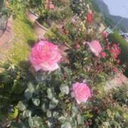 ヒメ日記 2025/06/01 10:14 投稿 みさ 人妻の雫 岡山店