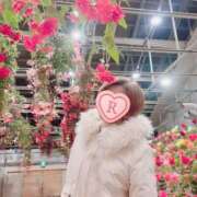 ヒメ日記 2024/12/30 06:26 投稿 るか 人妻の雫 岡山店