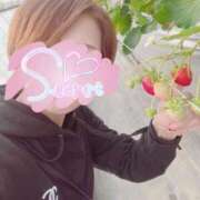 ヒメ日記 2025/01/14 09:04 投稿 るか 人妻の雫 岡山店