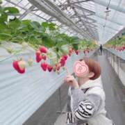 ヒメ日記 2025/02/28 23:14 投稿 るか 人妻の雫 岡山店