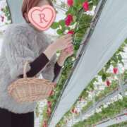 ヒメ日記 2025/03/02 07:44 投稿 るか 人妻の雫 岡山店