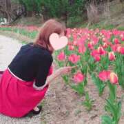 ヒメ日記 2025/04/08 09:24 投稿 るか 人妻の雫 岡山店