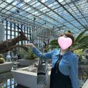 ヒメ日記 2025/04/17 08:24 投稿 るか 人妻の雫 岡山店