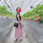 ヒメ日記 2025/04/23 00:14 投稿 るか 人妻の雫 岡山店