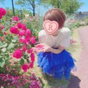 ヒメ日記 2025/05/01 09:04 投稿 るか 人妻の雫 岡山店