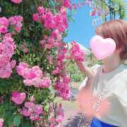 ヒメ日記 2025/05/10 19:44 投稿 るか 人妻の雫 岡山店