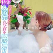 ヒメ日記 2025/06/11 00:14 投稿 るか 人妻の雫 岡山店