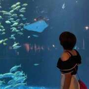 ヒメ日記 2025/06/28 08:37 投稿 るか 人妻の雫 岡山店