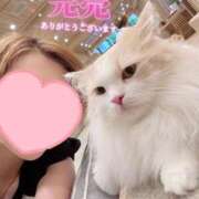 ヒメ日記 2025/07/15 08:24 投稿 るか 人妻の雫 岡山店