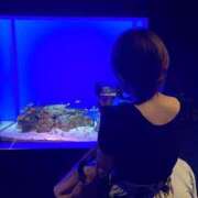 ヒメ日記 2025/07/21 14:34 投稿 るか 人妻の雫 岡山店