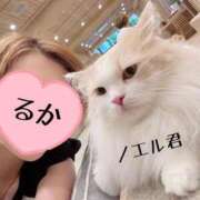 ヒメ日記 2025/08/10 08:34 投稿 るか 人妻の雫 岡山店