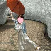 ヒメ日記 2025/08/17 23:06 投稿 るか 人妻の雫 岡山店