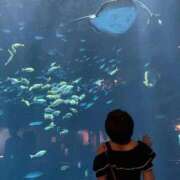 ヒメ日記 2025/09/05 07:34 投稿 るか 人妻の雫 岡山店