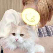 ヒメ日記 2025/10/01 07:34 投稿 るか 人妻の雫 岡山店