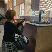 ヒメ日記 2025/10/16 08:44 投稿 るか 人妻の雫 岡山店