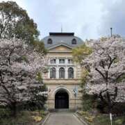 ヒメ日記 2026/04/02 19:04 投稿 るか 人妻の雫 岡山店