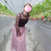 ヒメ日記 2026/04/06 08:54 投稿 るか 人妻の雫 岡山店