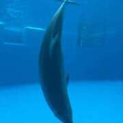 ヒメ日記 2026/04/06 19:21 投稿 るか 人妻の雫 岡山店