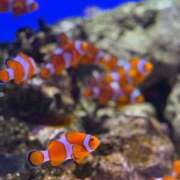 るか 徐々に❤️‍🩹 人妻の雫 岡山店