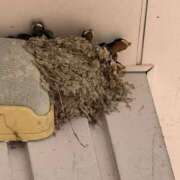 ヒメ日記 2026/05/26 13:34 投稿 るか 人妻の雫 岡山店
