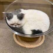 ヒメ日記 2026/06/27 02:24 投稿 るか 人妻の雫 岡山店
