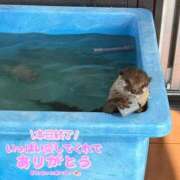 ヒメ日記 2026/08/19 20:44 投稿 るか 人妻の雫 岡山店