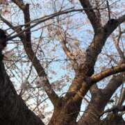 ヒメ日記 2026/04/05 19:14 投稿 みよ 人妻の雫 岡山店