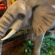 ヒメ日記 2025/03/08 14:08 投稿 新垣 美穂 人妻の雫 岡山店