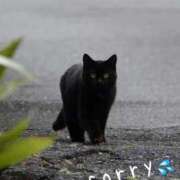 ヒメ日記 2025/09/18 17:24 投稿 アイリ 人妻の雫 岡山店