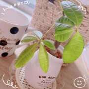 ヒメ日記 2025/12/26 08:24 投稿 麻倉 まい 人妻の雫 岡山店