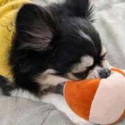 ヒメ日記 2026/01/09 09:44 投稿 麻倉 まい 人妻の雫 岡山店