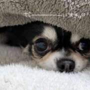 ヒメ日記 2026/01/11 09:04 投稿 麻倉 まい 人妻の雫 岡山店